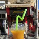 중권 | [이집트] 아스완에서 룩소르 버스로 이동하는 법! (정류장, 버스 상태 등)