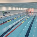 스윔키즈 이미지