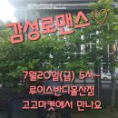 마켓고고