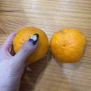 보메와산 | 제주 동쪽 숙소 보메와산펜션 3층 퀸룸 후기