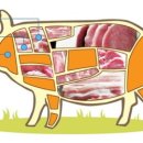 돼지고기의 효능과 사용법 이미지