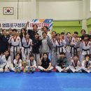 강철태권도 이미지