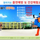 서울석촌초등학교 이미지