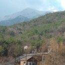 천하촌펜션 이미지