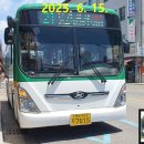 중앙시장(1207) 이미지