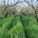 소선명농장 이미지