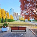 황금캐슬산업 | 나고야 인기 산책 코스 추천! 노리타케의 숲 가는 방법, 주차, 입장료, 휴무일, 포토존 등 겨울 방문 후기