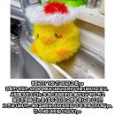 인생네컷 코스 이미지