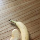 청주필한방병원 | [청주필한방병원]다이어트 한약복용 시작