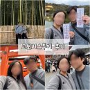 번영투어 | 오사카 교토버스투어 아라시야마 금각사 여우신사 청수사 1일 투어 후기