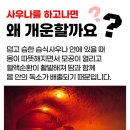 베이크아웃 - 달서구 조암로 24 | 베이크아웃