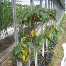 장유농장 이미지