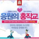 정관장금촌점