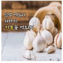 티모테오 도보순례 양양 이미지