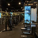 휘트니스엠 선릉점 이미지