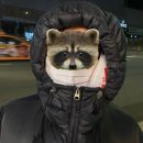 주말 보내기 : 집콕 일상과 아바타2 돌비시네마 관람 후기