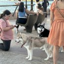 몽멍이들 이미지