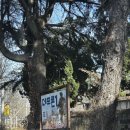 전북제사1970데프콘1 이미지