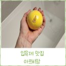 거품이 풍부하고 쫀쫀한 입욕제 맛집 <b>아르비앙</b>