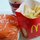 사파동300 이미지