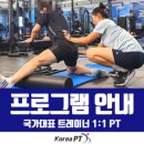 KOREA PT(코리아 피티) 이미지