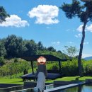 역전할머니맥주 남원도통점 | 남원 2박3일 국내 가족 여행 코스부터 맛집까지