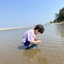 덕산카정비 | 카라반/캠핑/바다/아드리아아도라482LU/캠핑카/맹방/덕봉산/덕산/트레일러/강원노지/맹방노지/노지캠핑