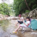 엄둔 솔밭 빌리지 이미지