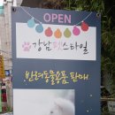 강남펫스타일 이미지