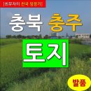 [최부자의 전국 임장기] 충청북도 충주시 주덕읍 신양리 토지