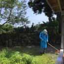 돌집 by 신대장 이미지