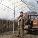 김영표버섯명가영농조합법인 이미지