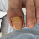 레푸스앤두두뷰티 이미지