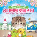 (주)내추럴발란스코리아 이미지