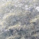 신기촌충전소 이미지