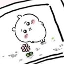 달빛되어 이미지