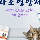 와조펫(WAZOPET) 이미지