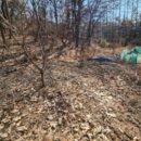 분당-277 이미지