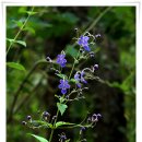 신구대학교 이미지