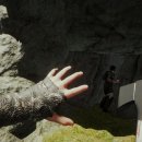 더포레스트 이미지