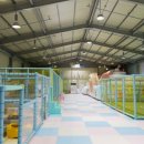 키즈킹덤 이미지