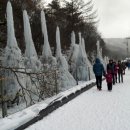 승민애견 이미지