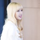 사랑별 Daum카페