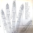 5기 부활술 기초 해설 이미지