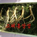 유익한홍삼원 | 가정의달 고려인삼유통에서 나온 홍삼선물세트로 기분 짱!
