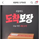 창앤영 | 영앤리치 플리에 SK, 에이블리 최저가 비교 도착보장 20% 할인 쿠폰 적용 후기