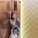 골드미 이미지