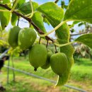 (주)한국지엠여수서비스센터 | 전라남도보도자료20260408수요일