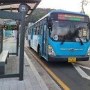 2022-주181 이미지