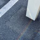 세희목장 이미지